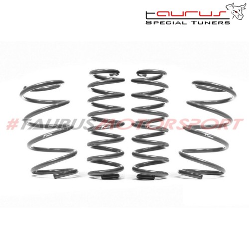 Kit molle assetto sportive VWR Racingline - Telaio A5 FWD: VW Golf 6 1.4 TSI  - VWR31G614