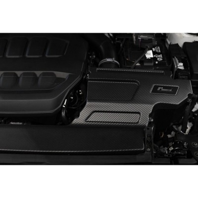 VWR1210R601EG Racingline Aspirazione diretta in carbonio lucido R600 filtro in COTONE Telaio MQB EVO EA888 Gen.4 VW Golf Mk8 GTI 2