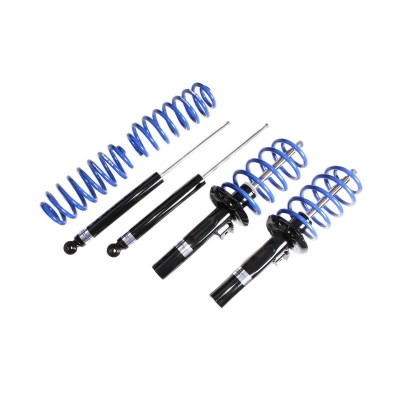 VWR30G5GT Racingline Ammortizzatori sportivi molle ribassate VW Golf 5 e 6, Audi A3 8P, Seat Leon 1P (? 55mm)