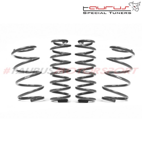 VWR31T120 Racingline Kit molle sportive VW Tiguan mk2 4Motion R, 2.0 TSI & 2.0 TDI ribassate