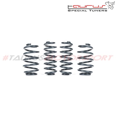 VWR31TR01 Racingline Kit molle sportive VW T-Roc R ribassate troc 2