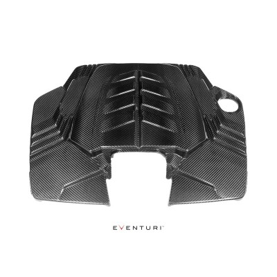 Eventuri EVE-4V8TT-CF-INT Aspirazione diretta in carbonio Audi RSQ8/SQ8/SQ7 2020+ filtro sportivo cover motore engine 2