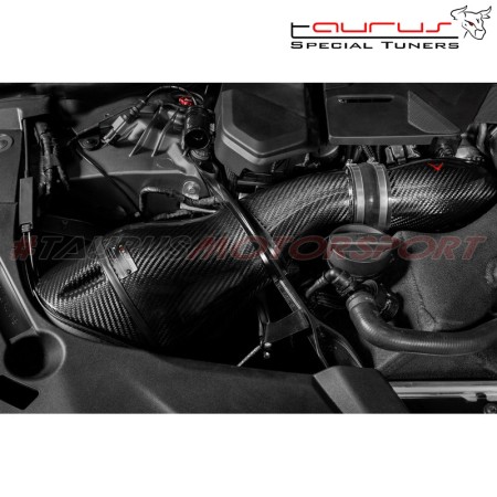 Eventuri EVE-F9XM5M8-CHG Turbo inlets in carbonio BMW Serie 5 F90 M5 turbina