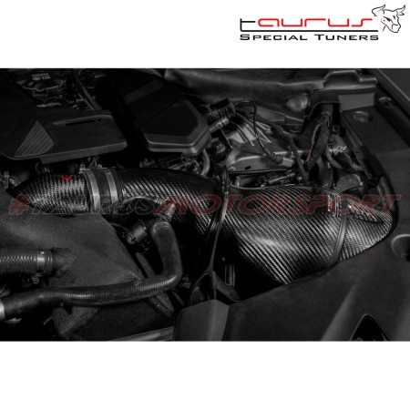 Eventuri EVE-F9XM5M8-CHG Turbo inlets in carbonio BMW Serie 5 F90 M5 turbina