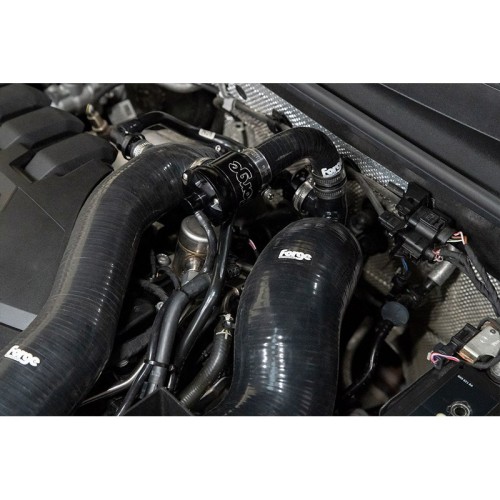 FMDV30 Valvola pop off a ricircolo interno con manicotto  Audi A1 (GB) 35 TFSI 1.5 TSI dal 2018 (codice motore DAD, DADA e DACA)