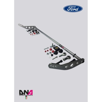 DNA Racing PC0978 Barra antirollio posteriore regolabile Ø 20x3mm Ford Fiesta mk7 e ST assetto telaio pianale rinforzo duomi