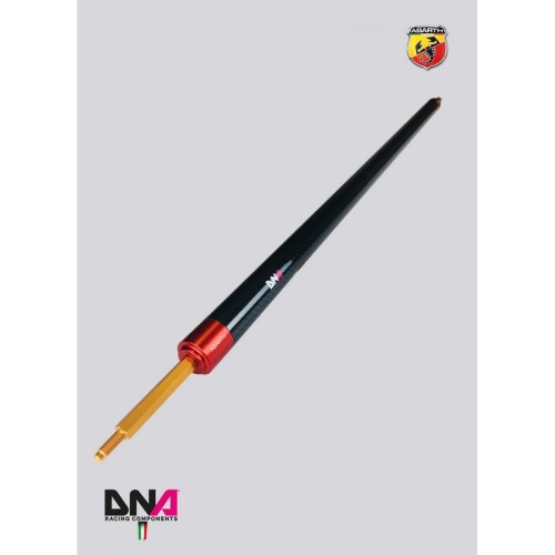 DNA Racing PC1690 Barra duomi posteriori senza tiranti Abarth 500/595/695 assetto telaio pianale rinforzo barraduomi