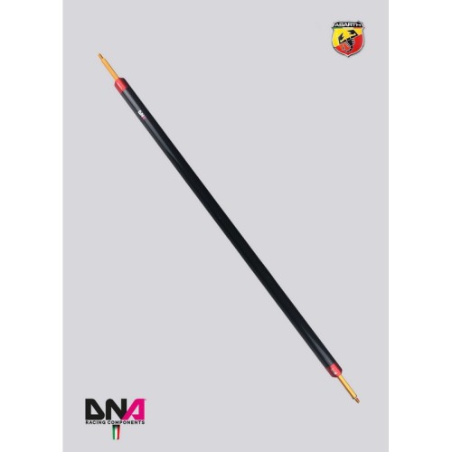 DNA Racing PC1690 Barra duomi posteriori senza tiranti Abarth 500/595/695 assetto telaio pianale rinforzo barraduomi