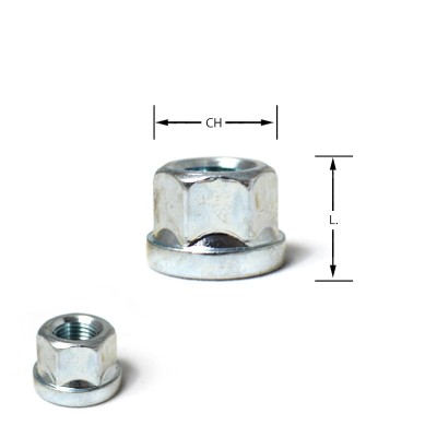 Dado piatto M12x1,25 chiave 19 L.17mm per Peugeot / Citroen M12 1,25 12x1,25 dadi piatti