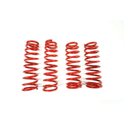 Kit molle sportive ribassate -40mm/35mm per Honda Civic VI Coupe (EJ/EM) 1.6 / 1.6 Vtec 11/95 - 03/01 - MTS Technik MTSXHO062