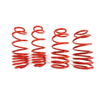 Kit molle sportive ribassate -40mm/40mm per Seat Leon I (1M1) (1M1) 1.4 / 1.6 / 1.8 01/00 - - MTS Technik MTSXVW177