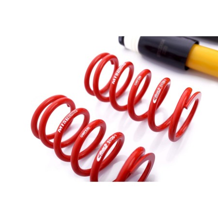 Kit assetto coilover regolabile MTS Technik STANCE per Volkswagen Fox (5Z1/5Z3) 1.2 / 1.4 / 1.4 TDI 08/03 - 10/15 - MTSGWVW29-S
