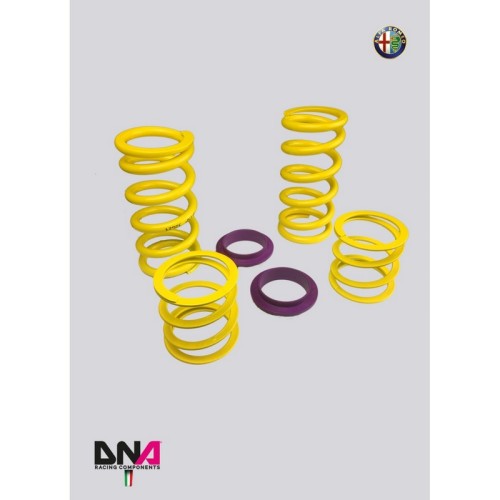 DNA Racing PC1942 Top mount per BILSTEIN - ST - KW - BC Racing completo di molle racing Alfa Romeo Giulietta assetto coilover re
