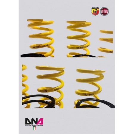 DNA Racing PC2109 Kit molle Track Day per ammortizzatori WRS Abarth 500/595/695 assetto coilover regolabile