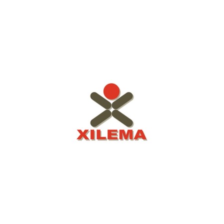 Xilema