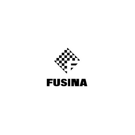 Fusina